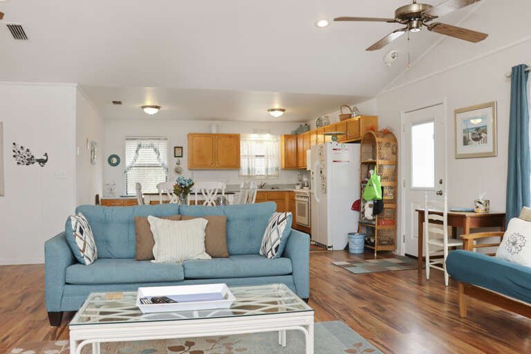 Living Room and Kitchen