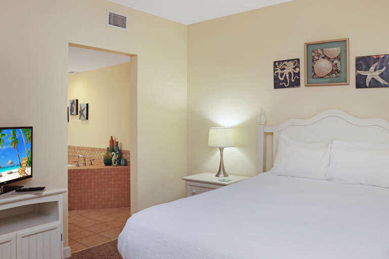 Bedroom 3 - Master Bedroom and Bathroom