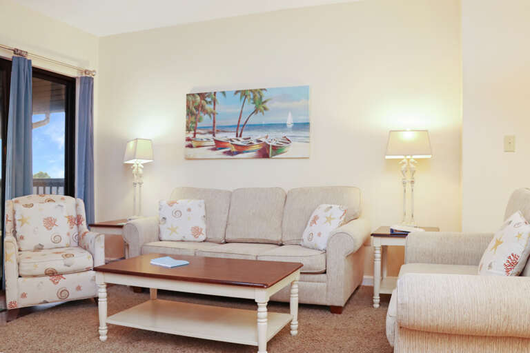 Living Room with Sleeper Sofa