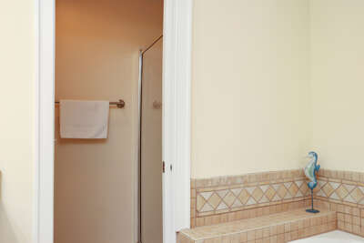 Master Bathroom with Shower