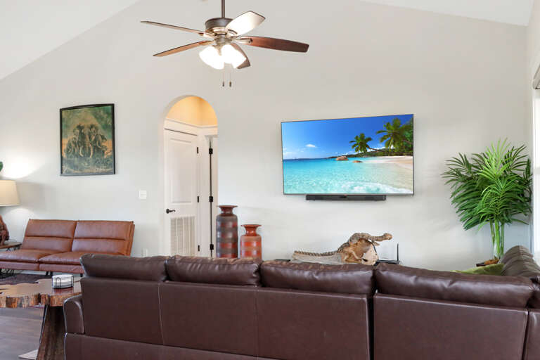 Living Room with TV (1)