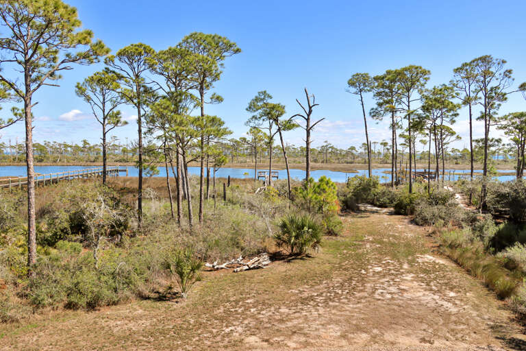 Backyard and Bay View