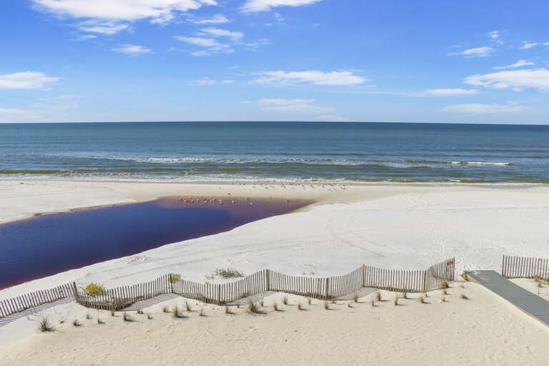 Beach View