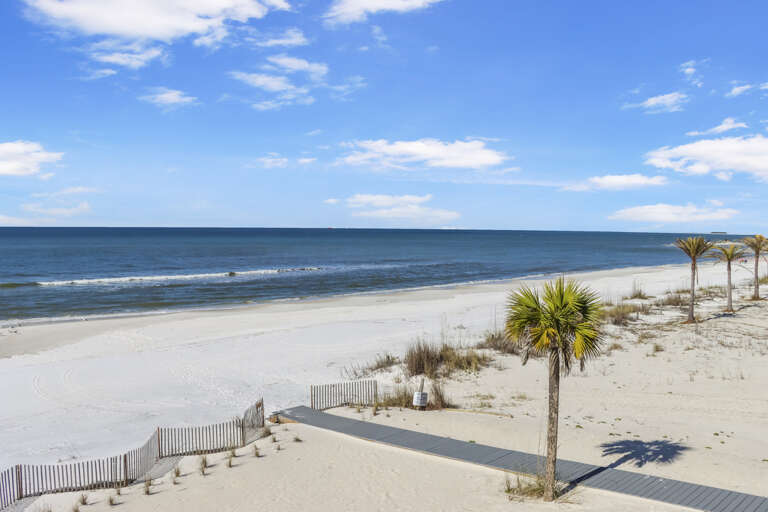 View to the West (1)