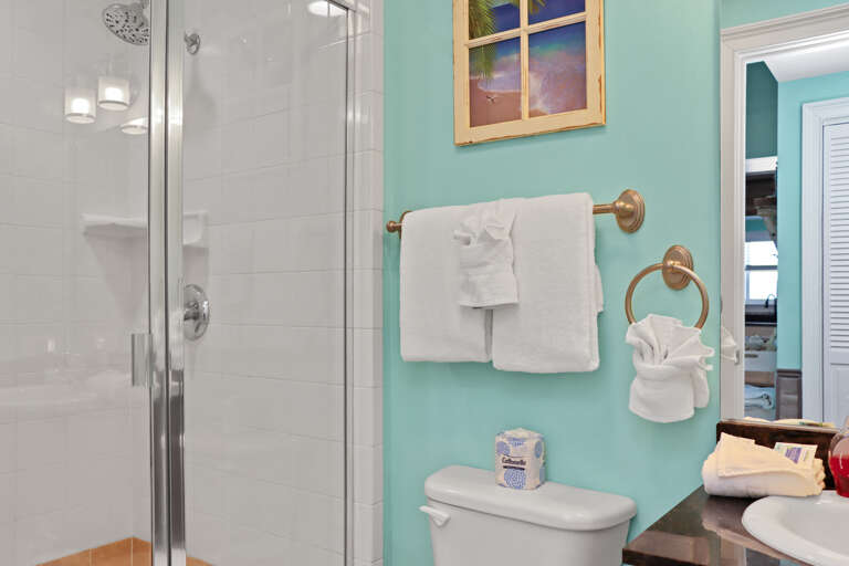 Full Bathroom with Shower