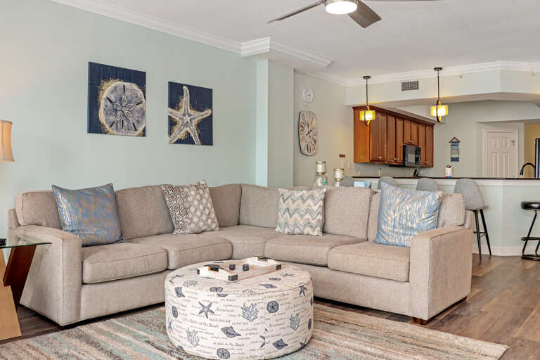 Living Room and Kitchen