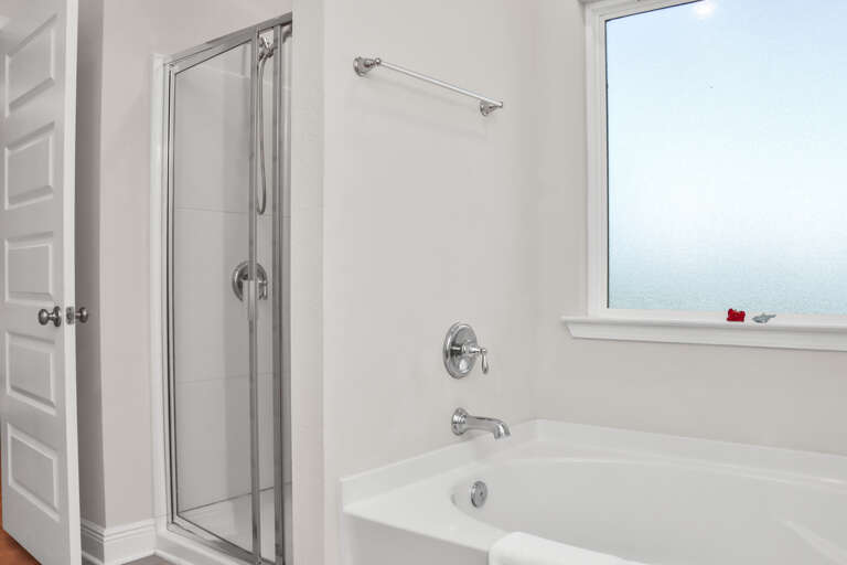 Master Bath Tub and Shower