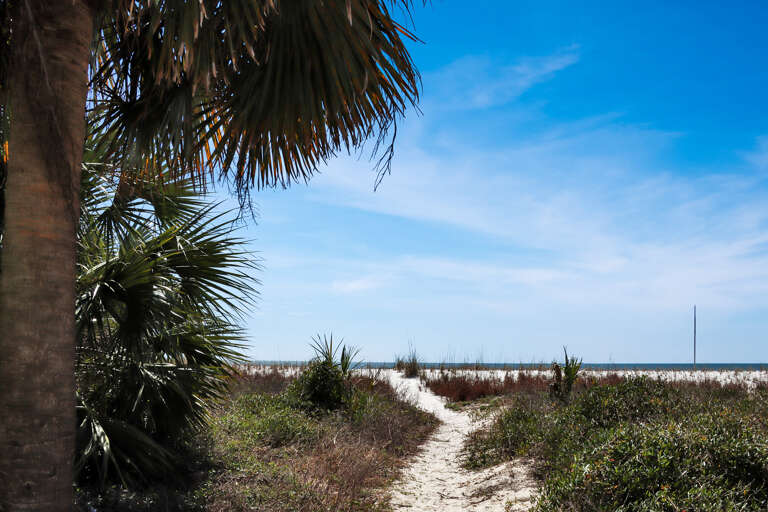 Beach Path