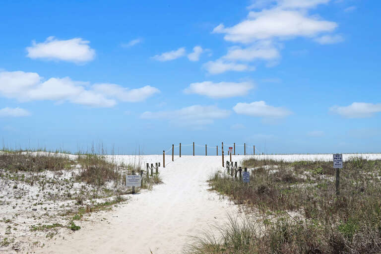 Beach Access