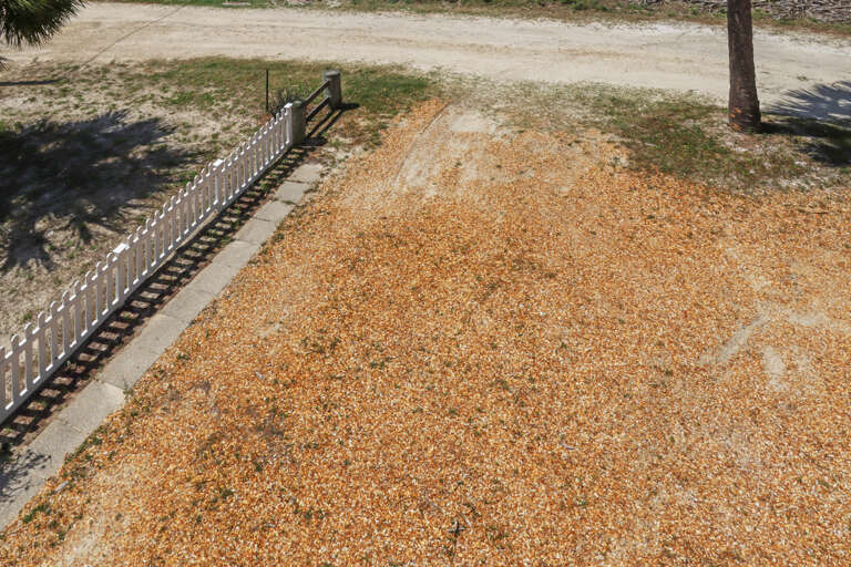 Overhead View of Parking