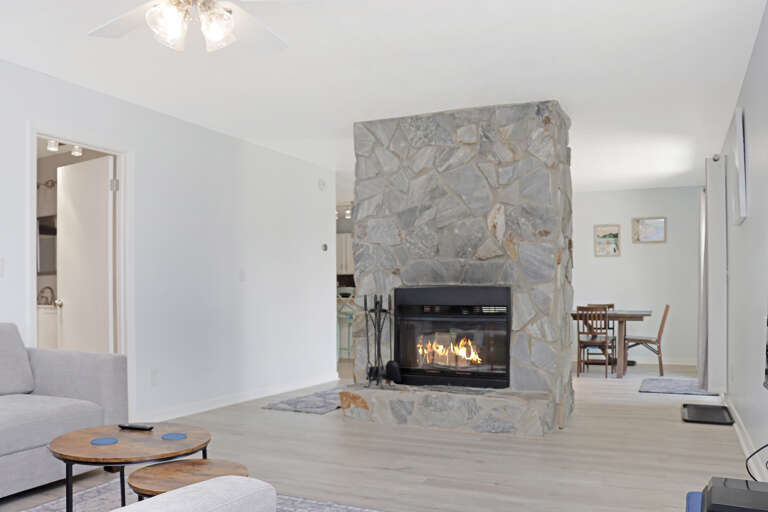 Living Room - Fireplace