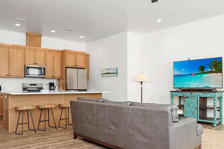 Living Room and Kitchen (1)