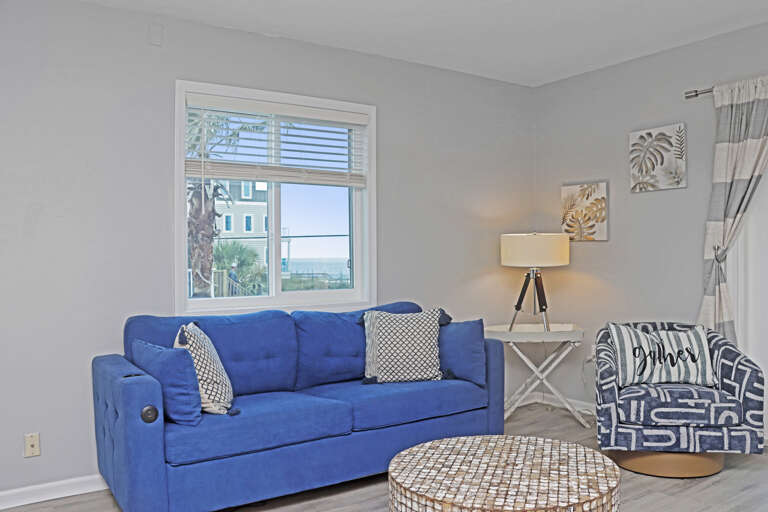 Living Room - Sleeper Sofa