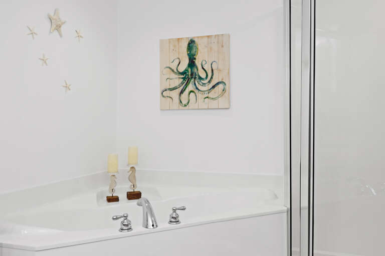 Bedroom 2 - Master Bath Tub