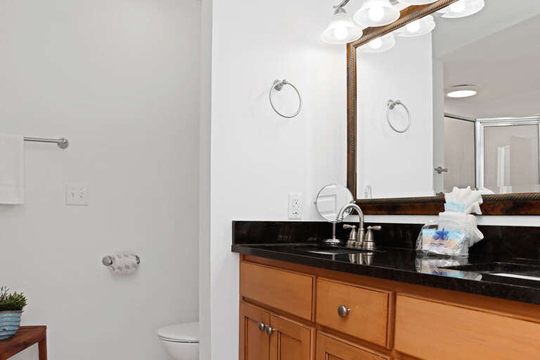 Bedroom 2 - Master Bathroom
