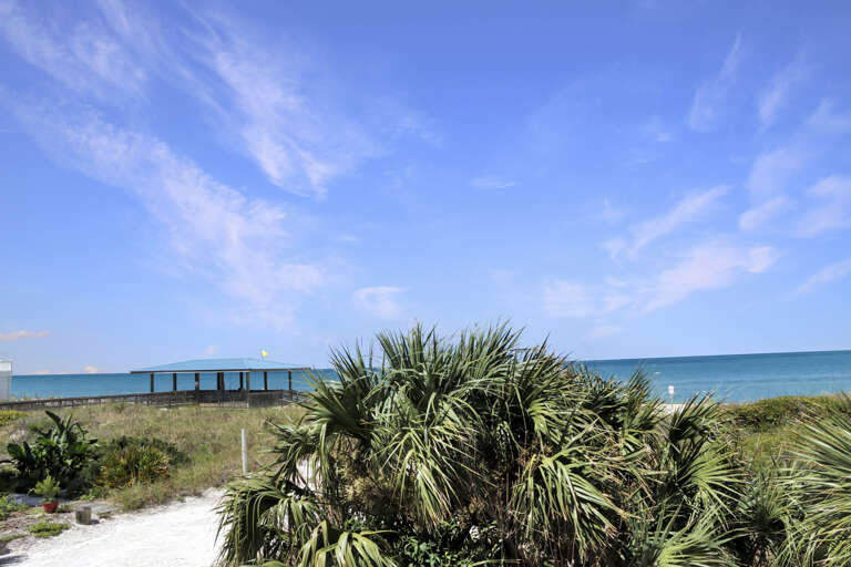 View of Cape Palms Park View of Cape Palms Park