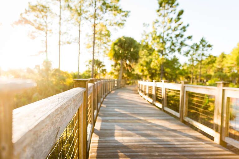 Boardwalk Boardwalk
