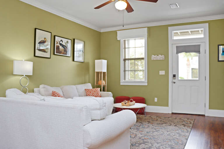 Living Room and Front Door Entrance