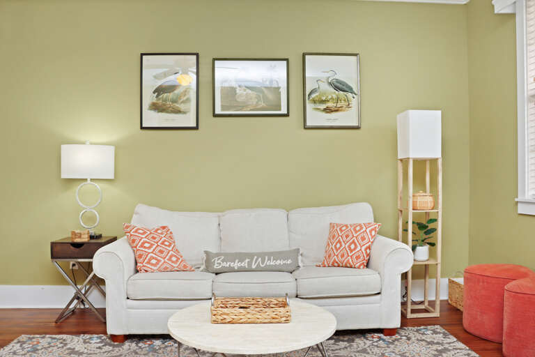 Living Room with Sleeper Sofa