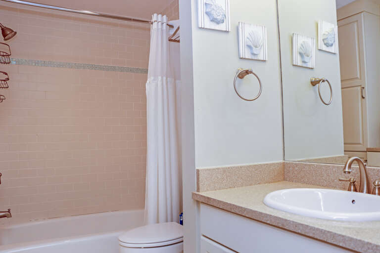 Bedroom 2 - Master Bathroom