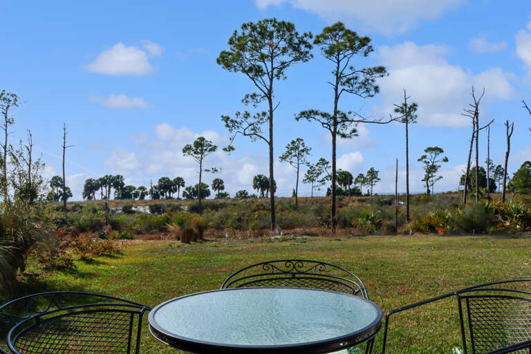 Outdoor Dining With a View on Back Porch