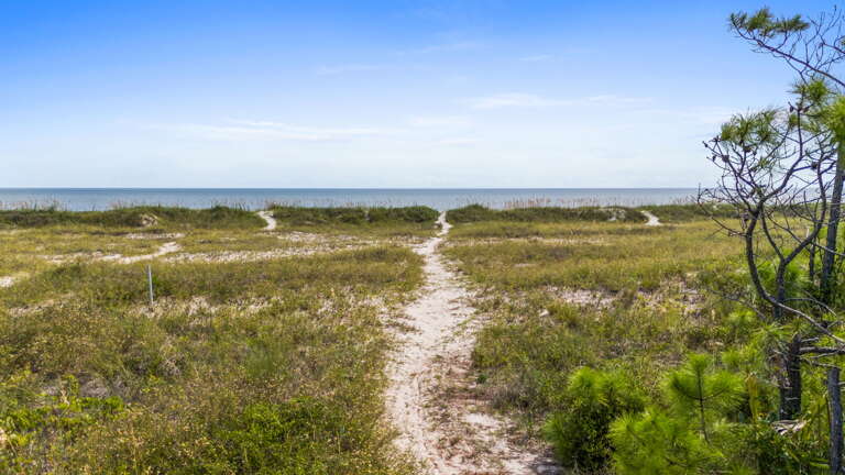 54-web-or-mls-DJI_20250902153758_0528_D