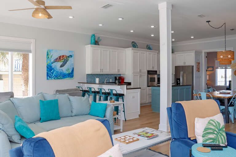 Living and Kitchen Area