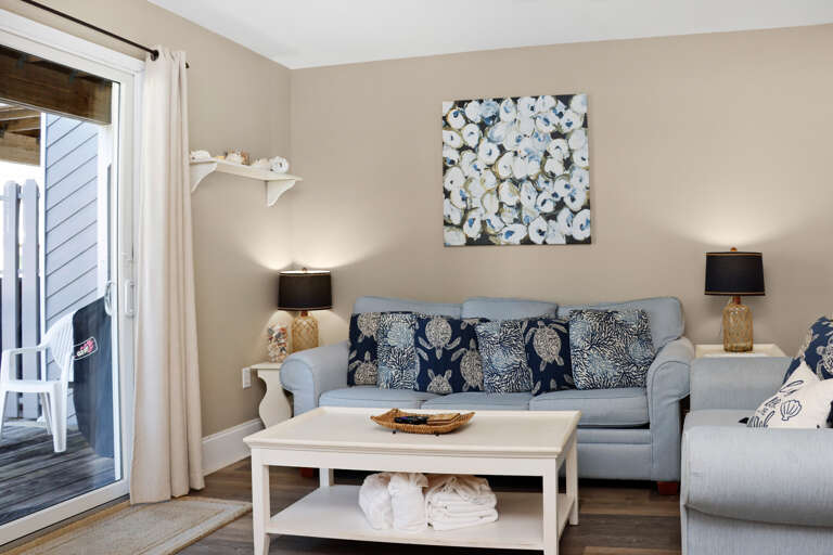 Living Room with Sleeper Sofa