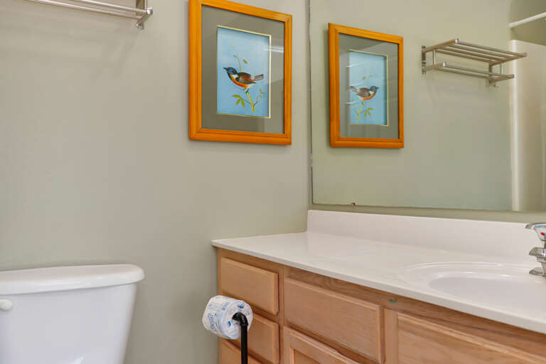 Bedroom 2 - Master Bathroom