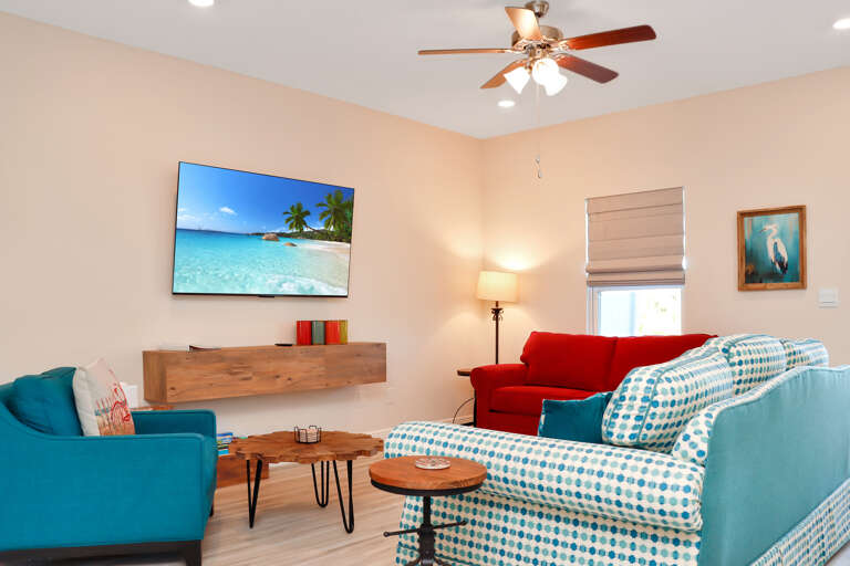Living Room with TV