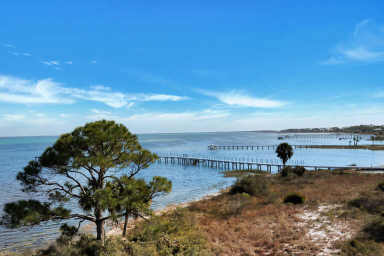 View Towards the Head of the Bay