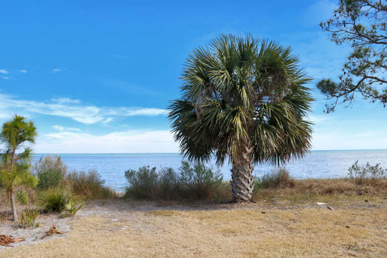 Gorgeous Bay View