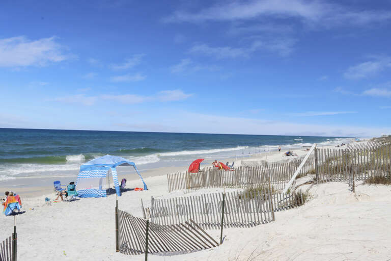 Beach View to the North