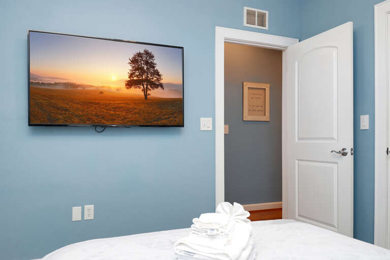 Bedroom 3 - TV