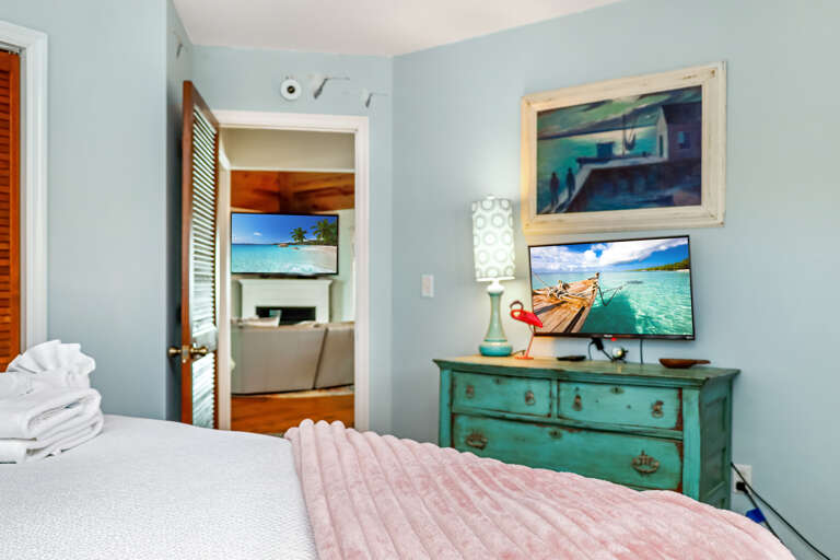 Guest Bedroom with TV