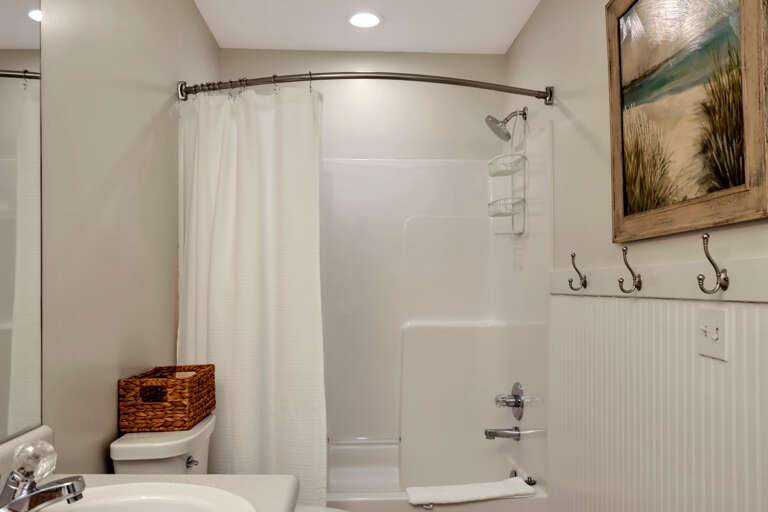 Master Bathroom Shower/Tub Combo