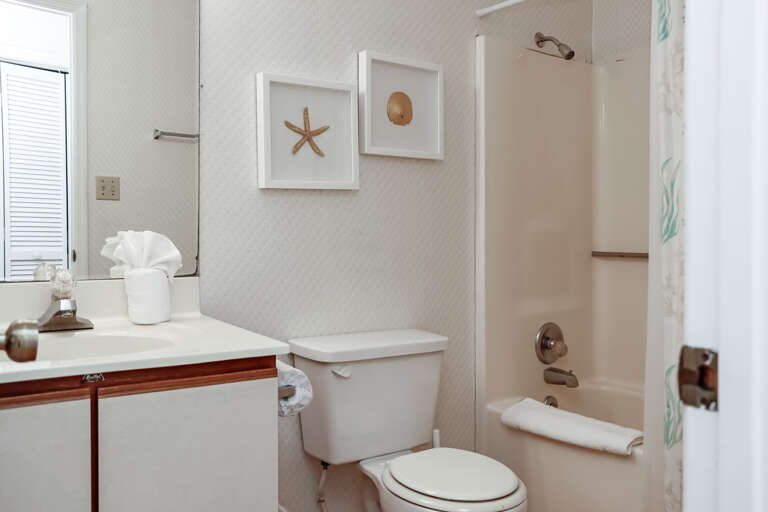 Guest Bathroom with Shower/Tub Combo