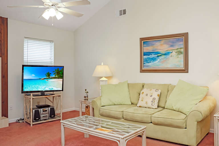 Living Room with Sleeper Sofa and TV
