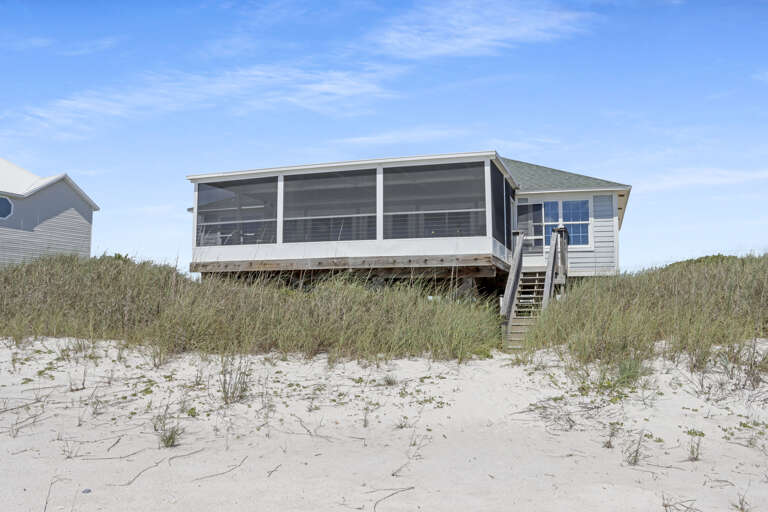 Turtle's Nest
