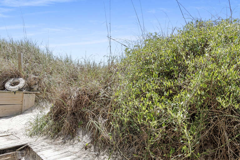 Pathway from Shower to the Beach