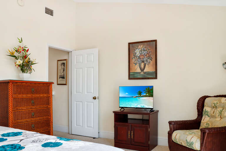 Master Bedroom 1 with TV