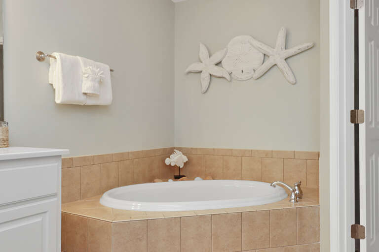 Master Bathroom Tub
