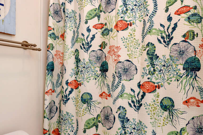 Full Bathroom Shower