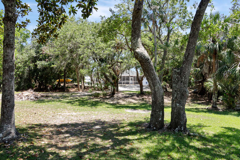 Shady Backyard
