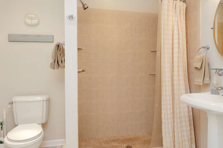 Master Bathroom Shower