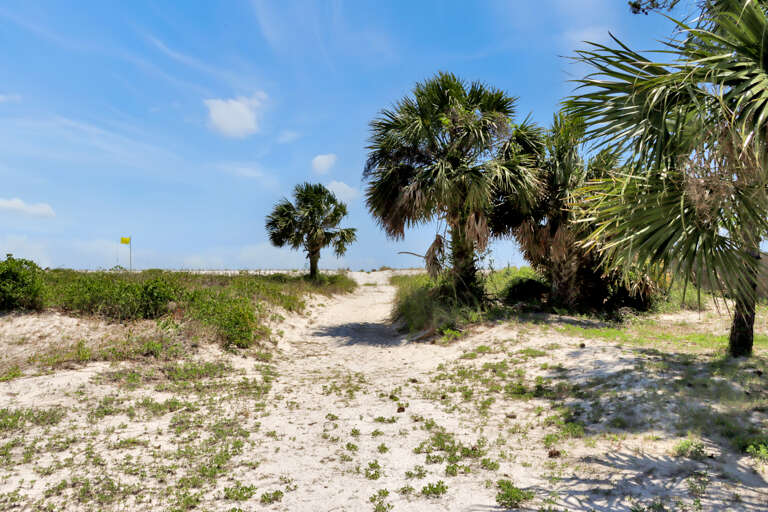 Pathway to Beach