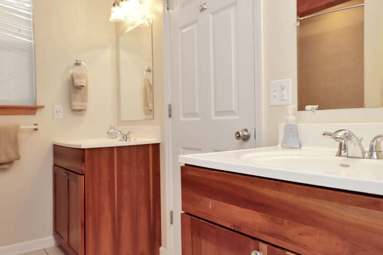 Guest bathroom