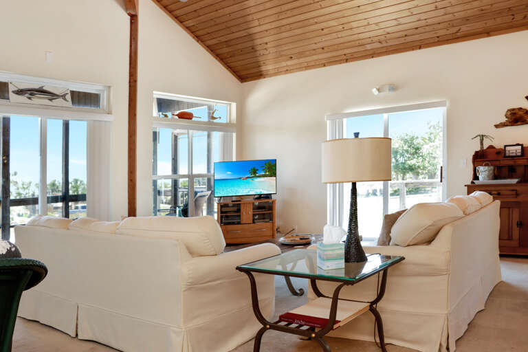 Living Room with TV