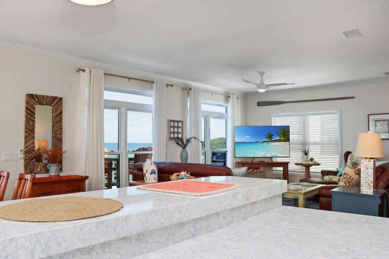 Kitchen Bar View