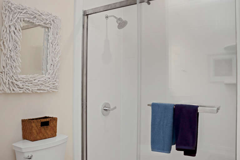 Bedroom 4 - Master Bathroom Shower